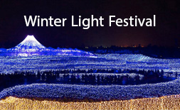 Kuwana Nabana no Sato Illumination logo ilikevents