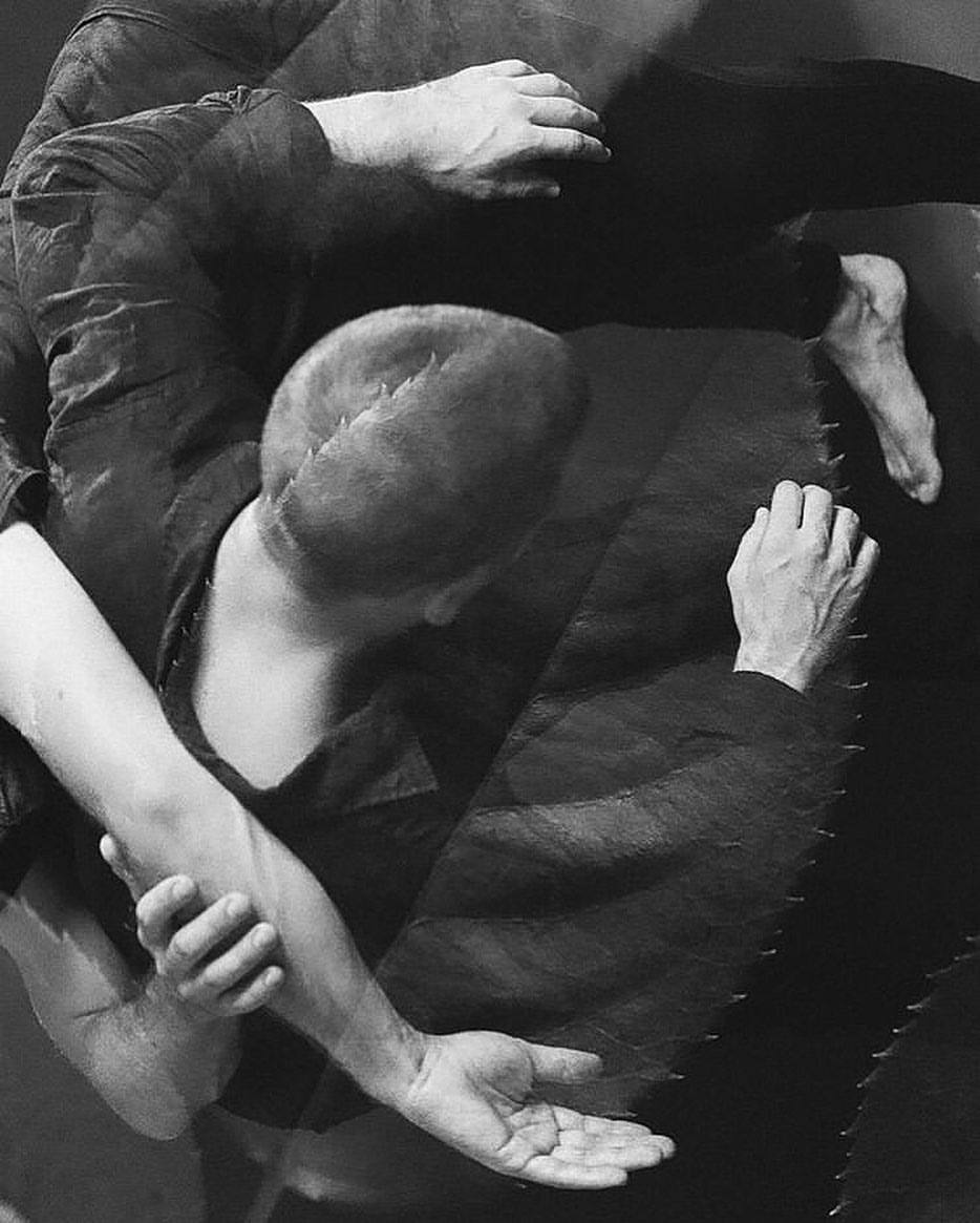 Holding and Falling