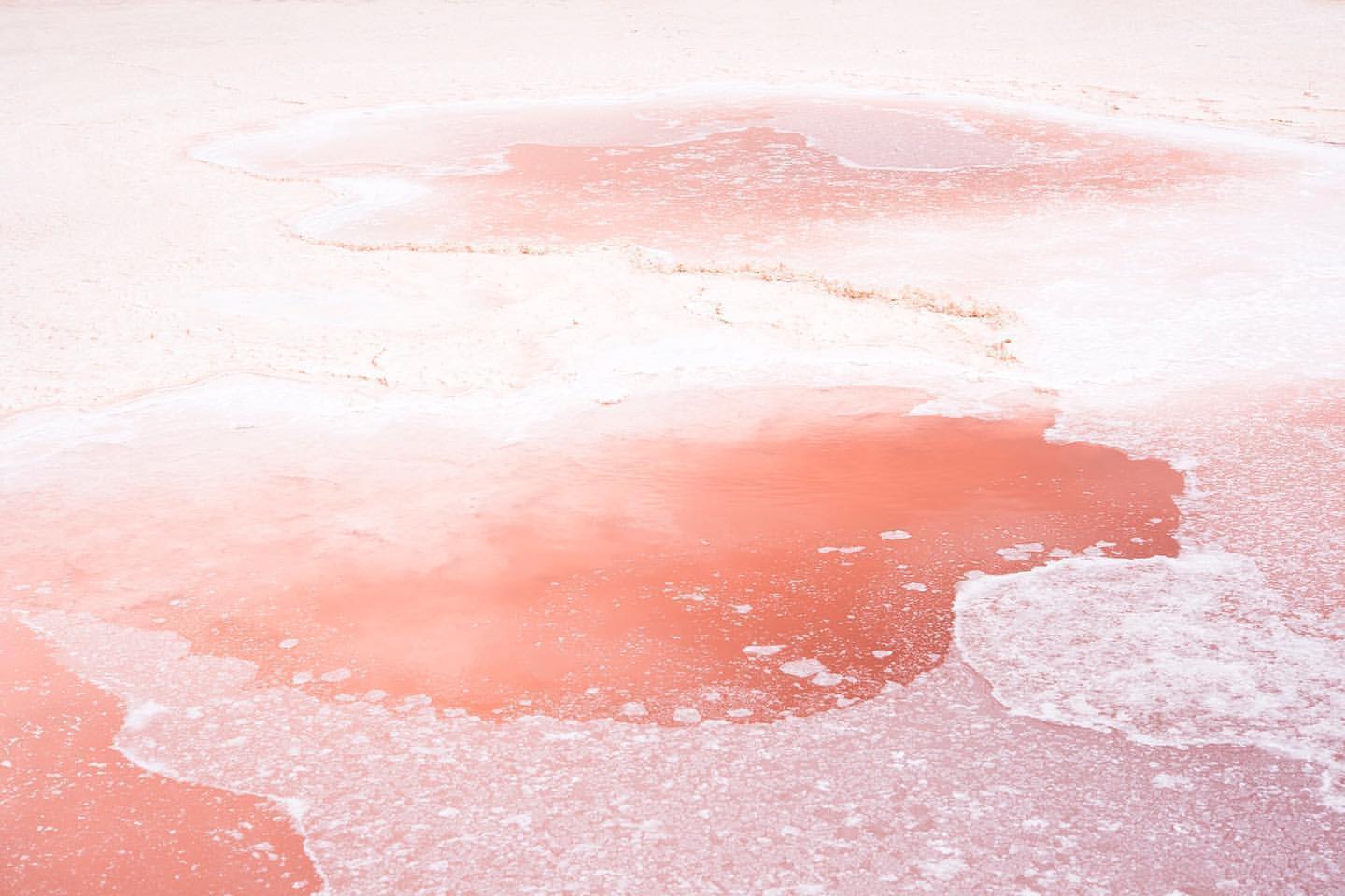 prue stent and hon