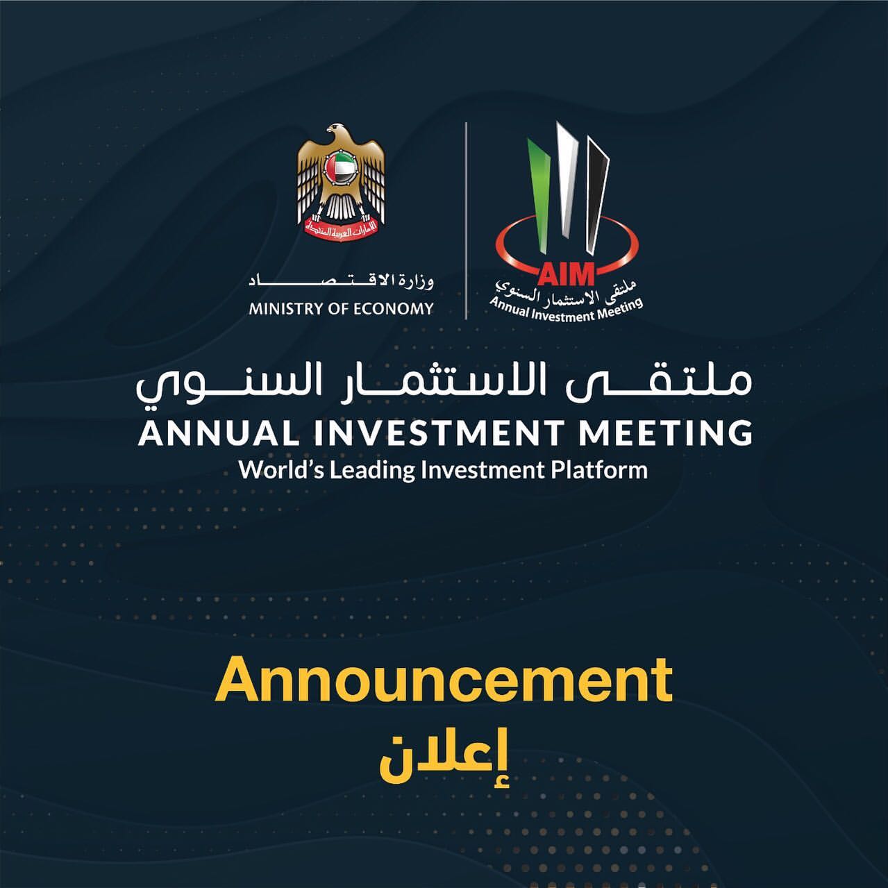Annual Investment Me
