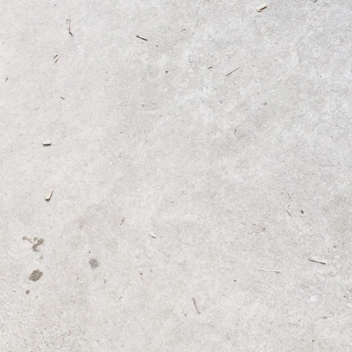 dog is peoplewatch