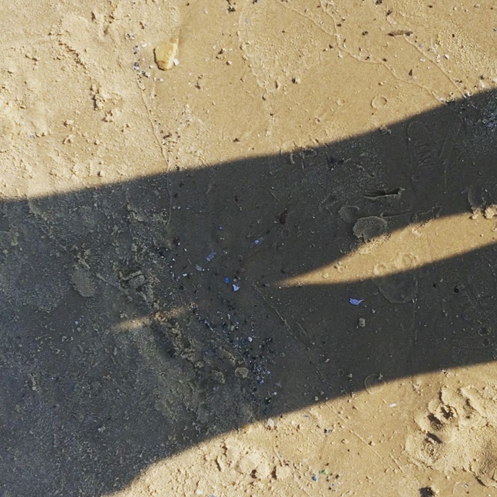 Animaze Montreal Animation20190728