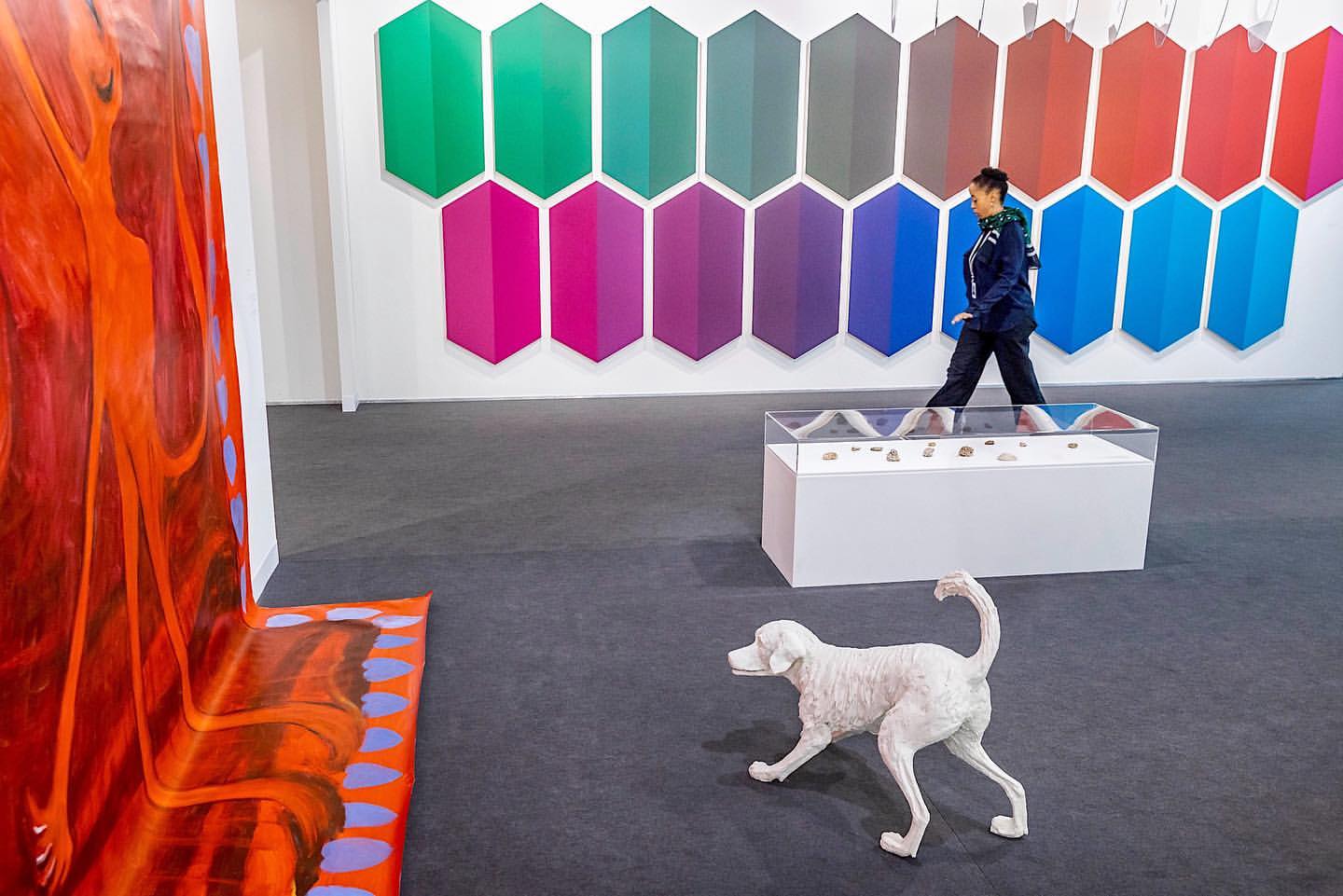 Installation view of