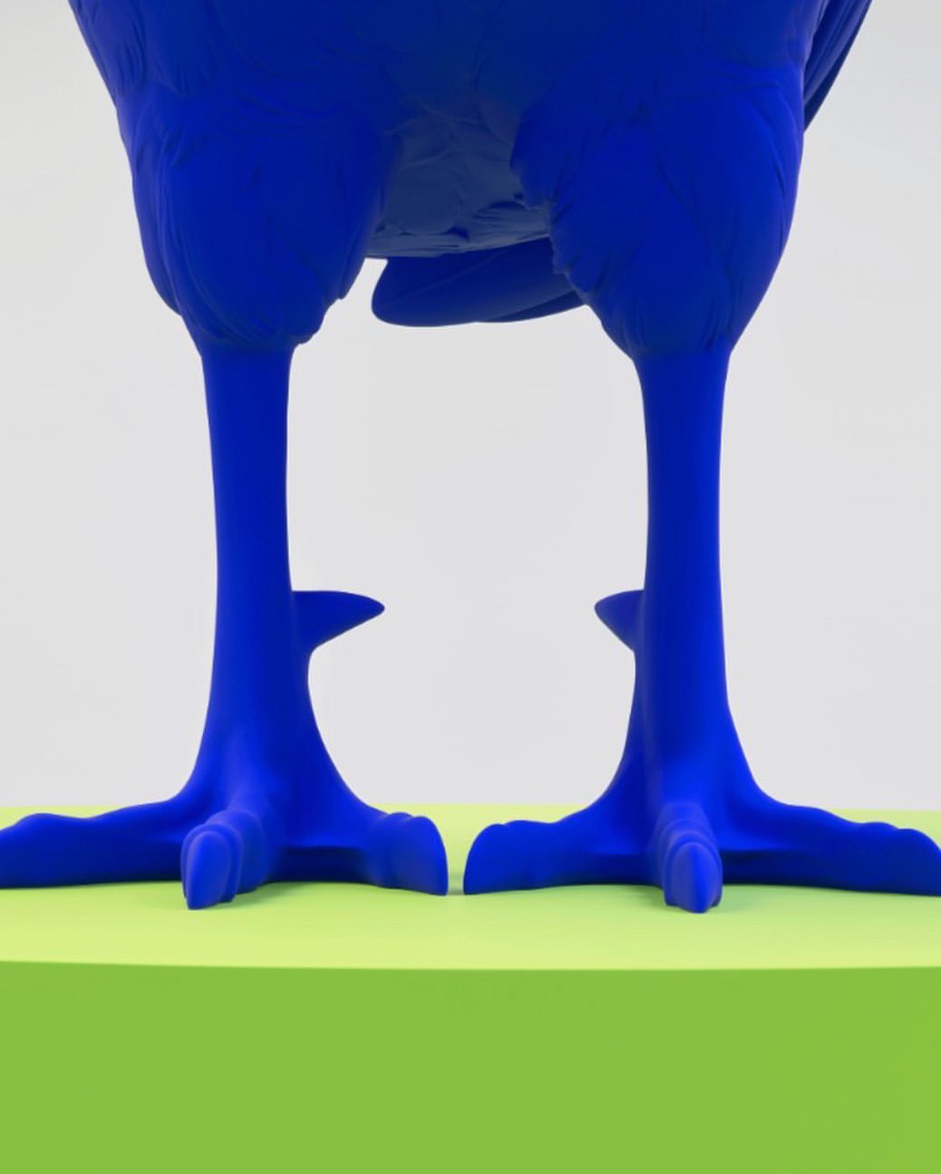  Cockadoodled