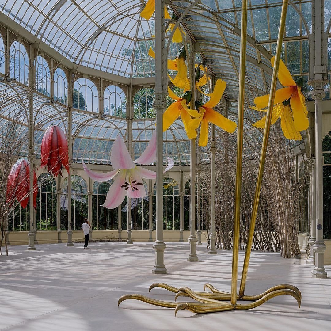 Step inside a garden