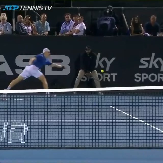 Shapo turning heads 
