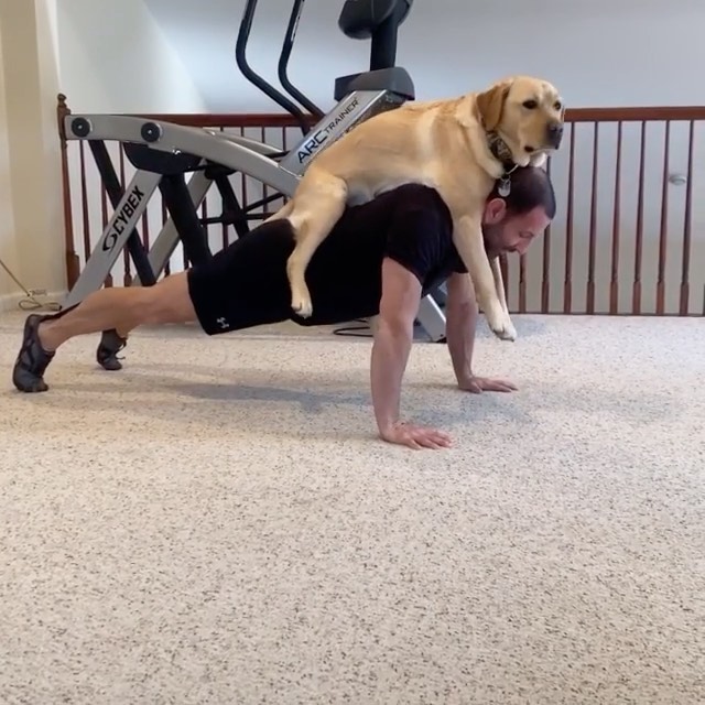 Mans best workout