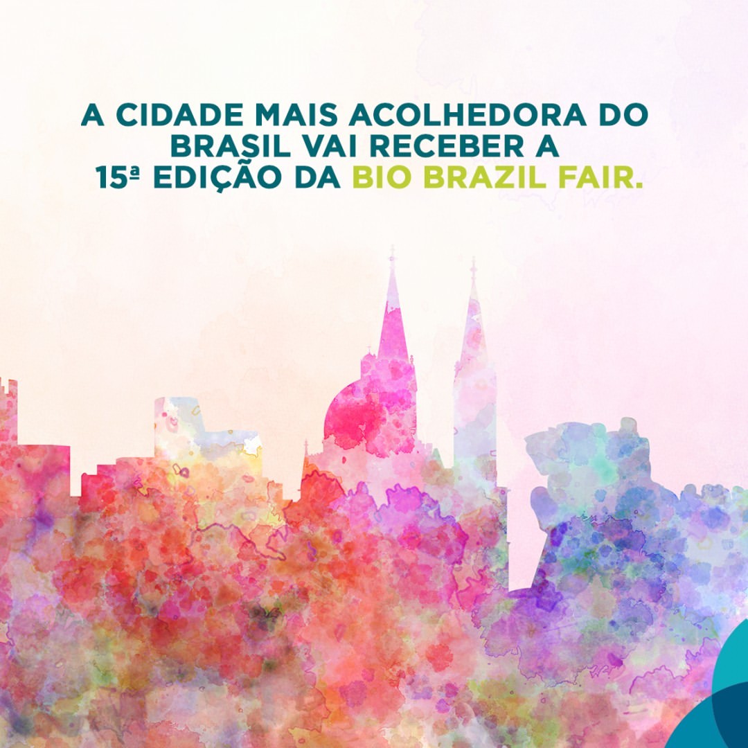 A cidade onde tudo a