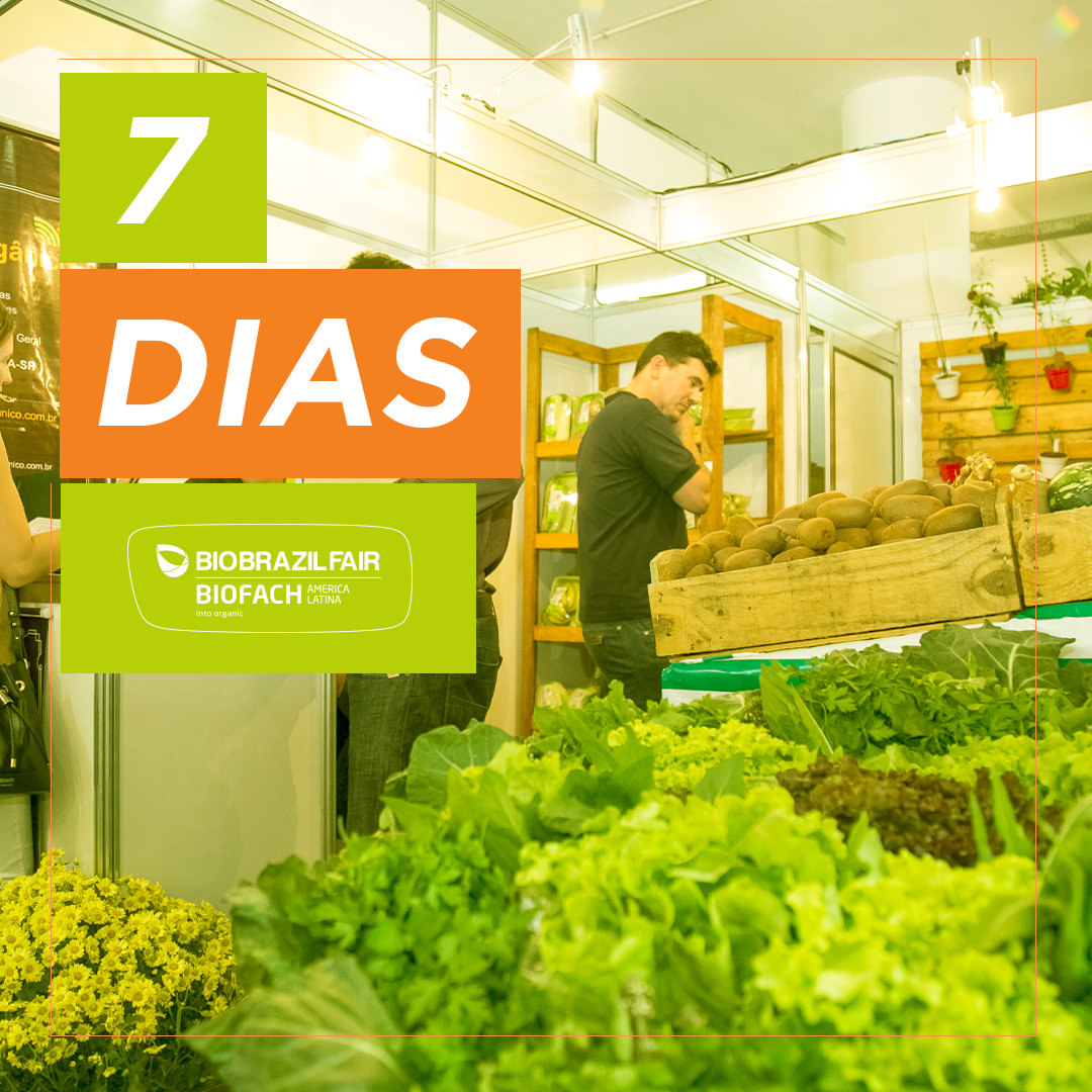 Faltam 7 dias para a