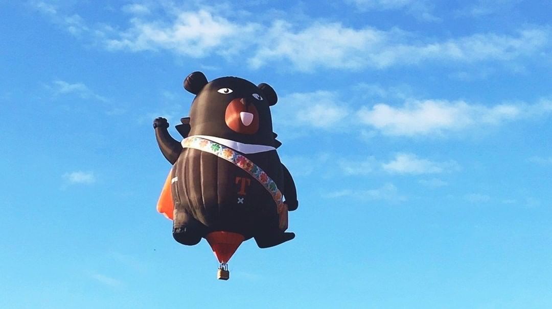 OH BEAR Flying all 