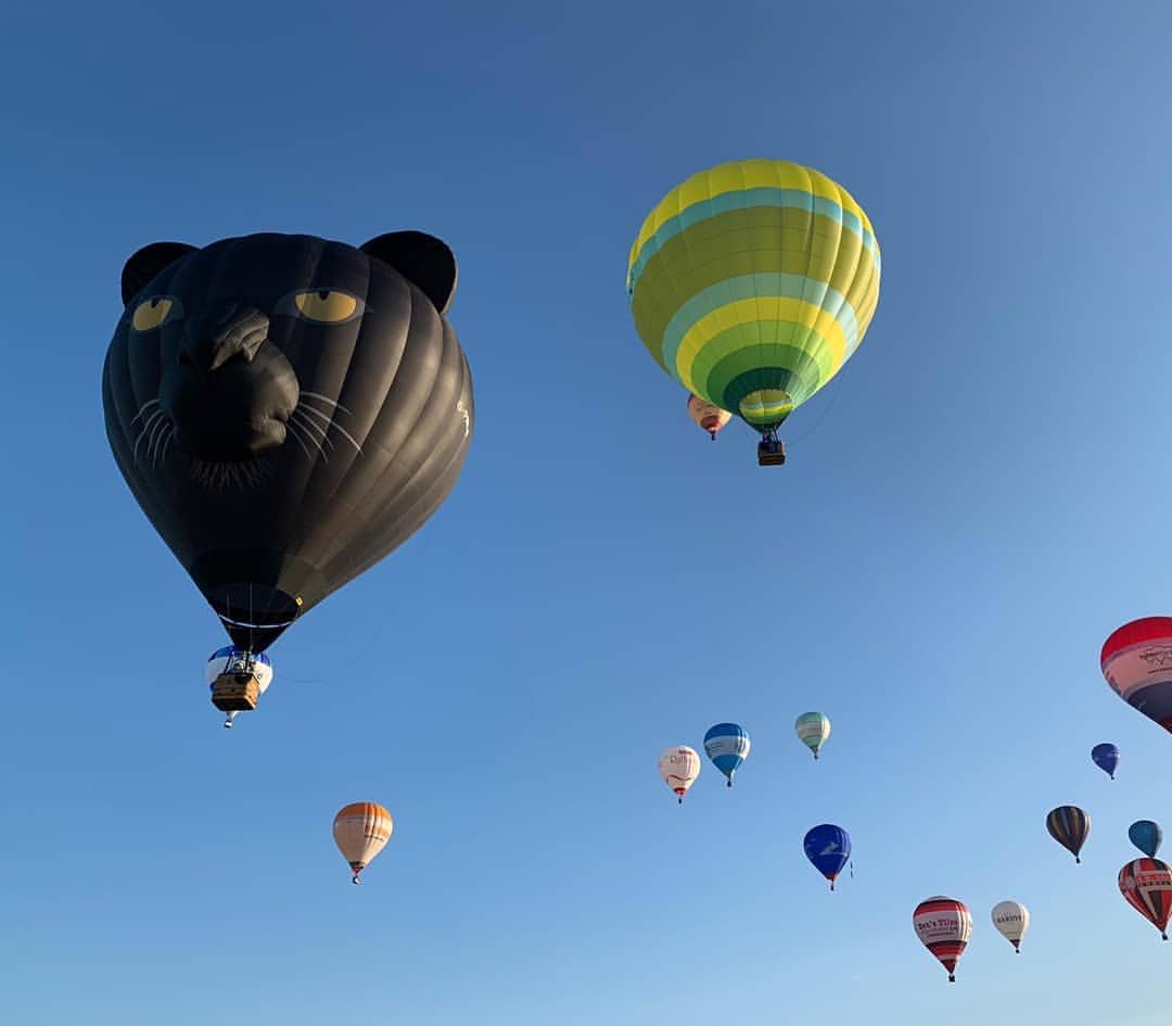 Who saw this guy fly