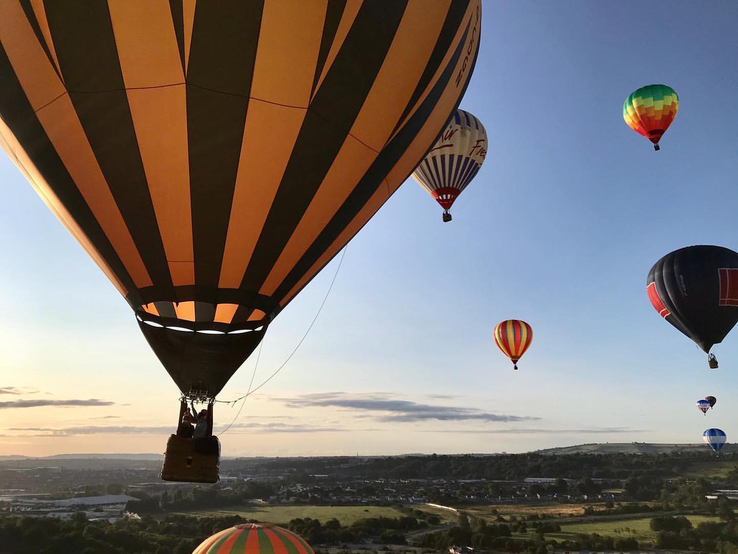 Flying high 