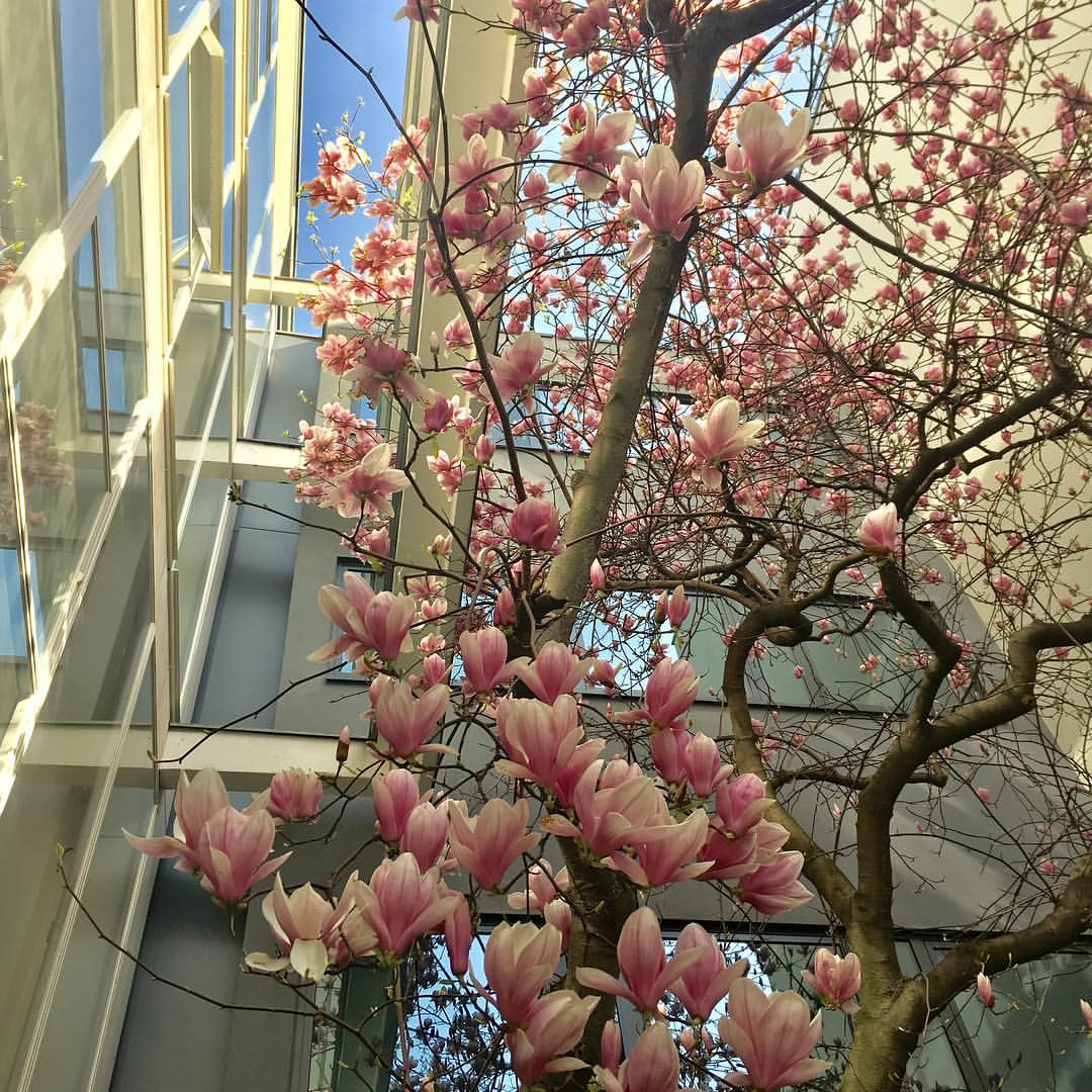 First day of spring 