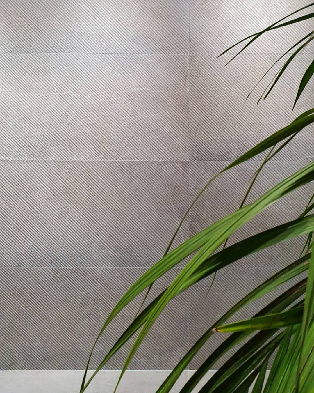 Walking through the 
