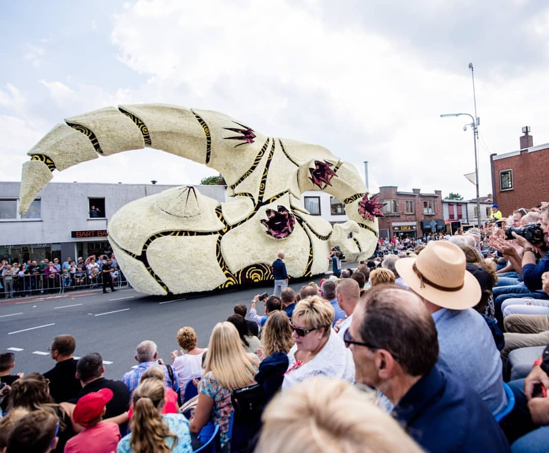 Het corso beleeft u 