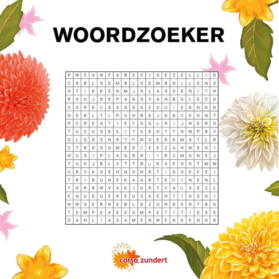 Ook zonder Corso Zun