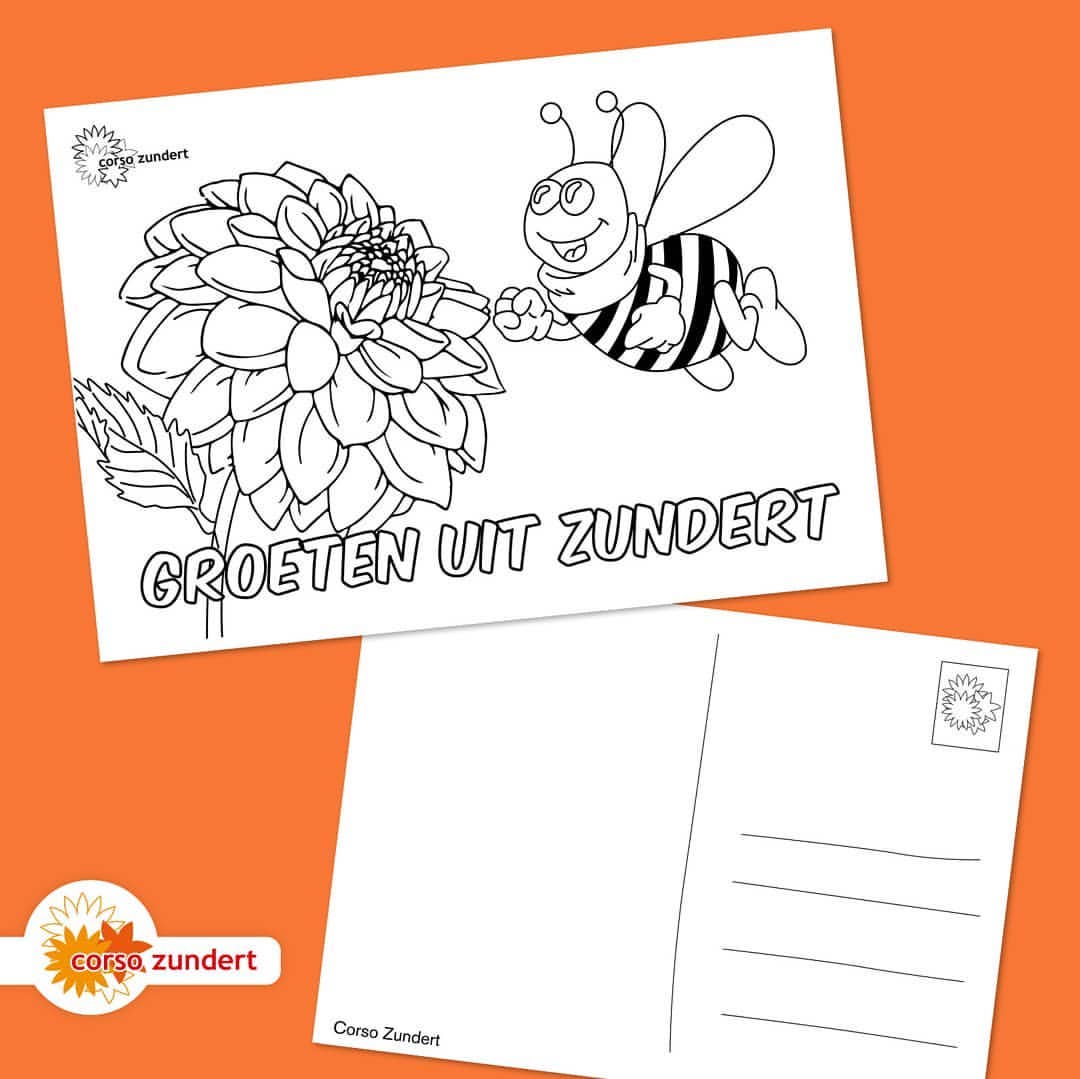 Kleur de mooiste ans