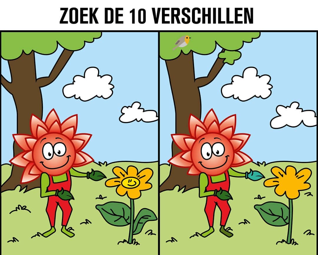 Deze week gaan we we
