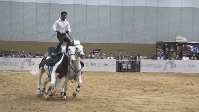The Dubai Internatio