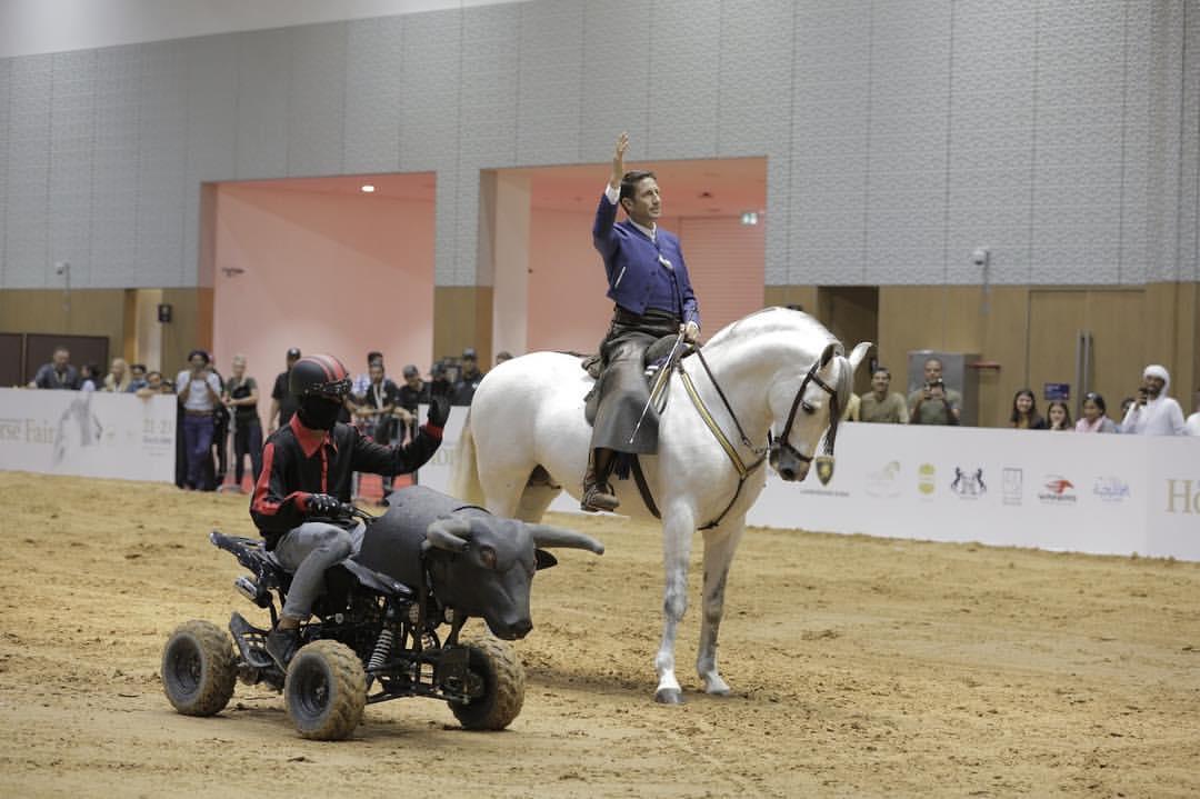Horse versus Bull C
