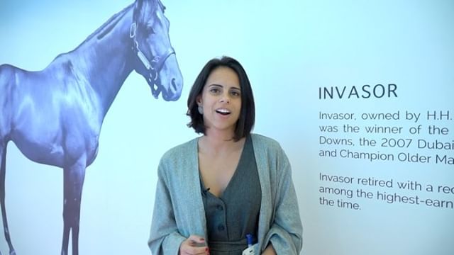 Invasor provides co