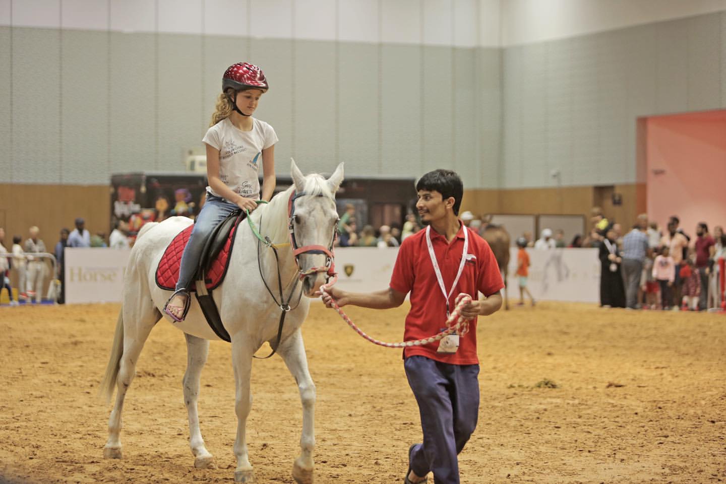 Our Horse and Pony R