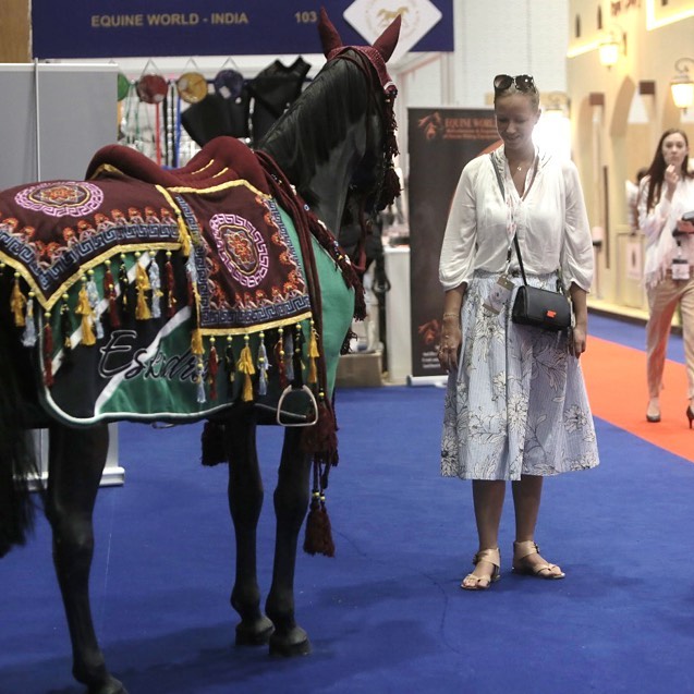 The Dubai Internatio