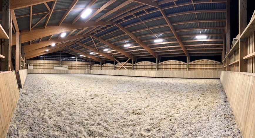 French dressage hors