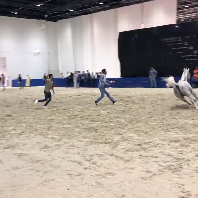 During the Dubai Int