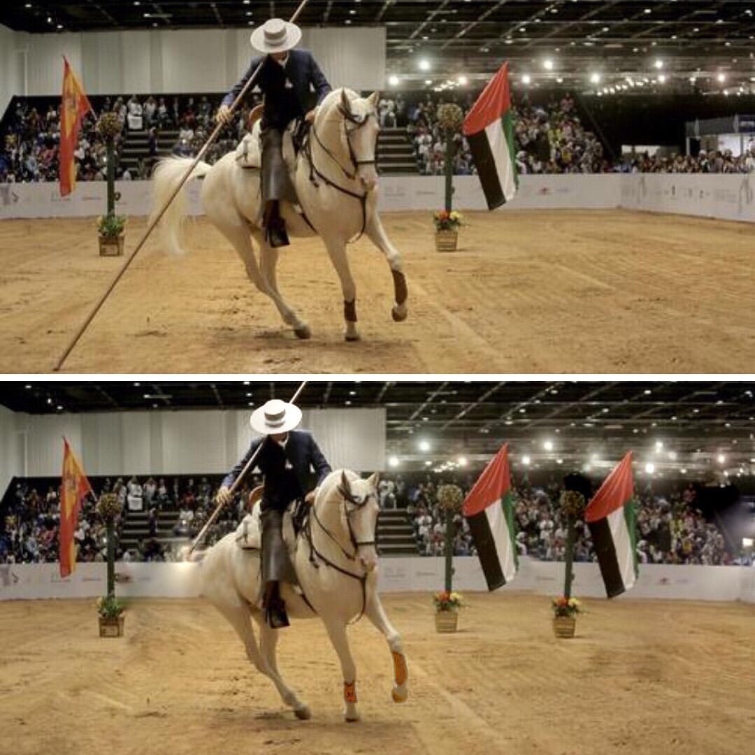 Happy UAE National D