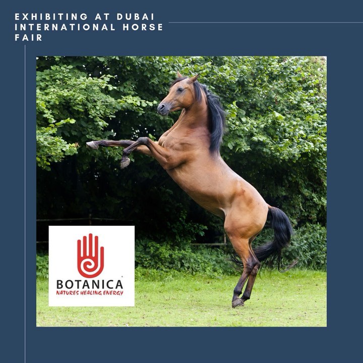 Botanica Internation