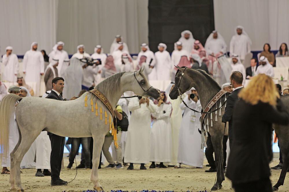 At Dubai Internation