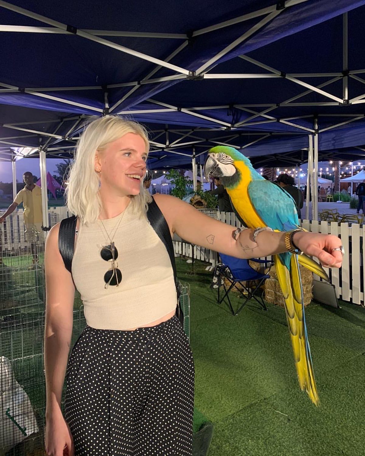 Do you love animals