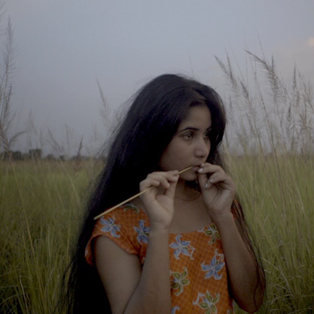Bulbul Can Sing is a
