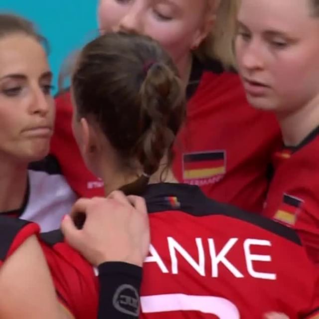 Setters simply love 