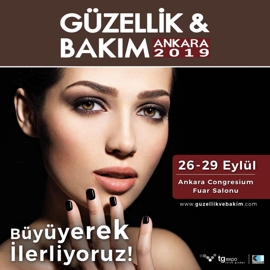 31 yldr sektrd