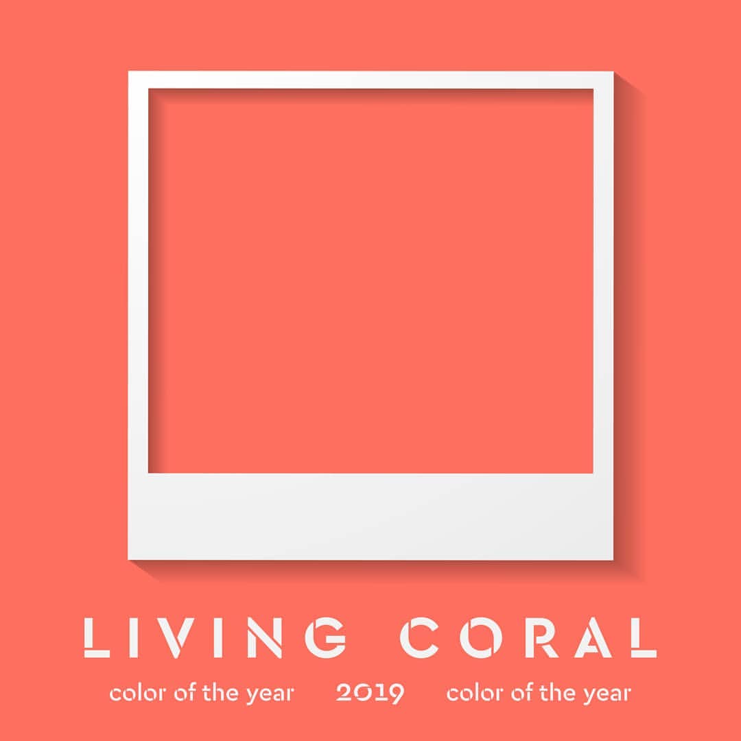 Il colore Pantone de