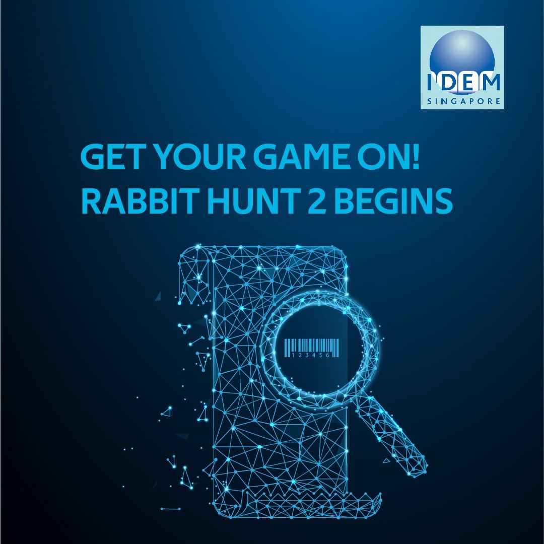 Our second rabbit hu