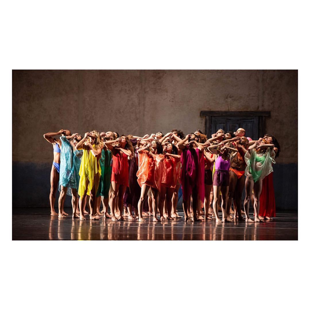 Our 2019 Performance