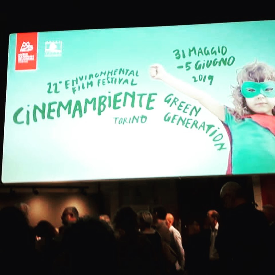 Our festival directo