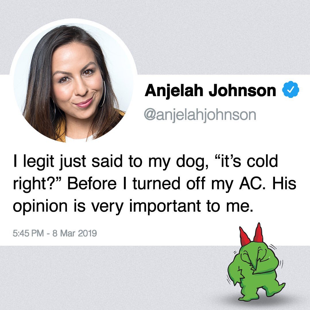The best opinions co