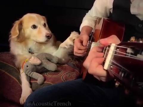 Us listening to ever