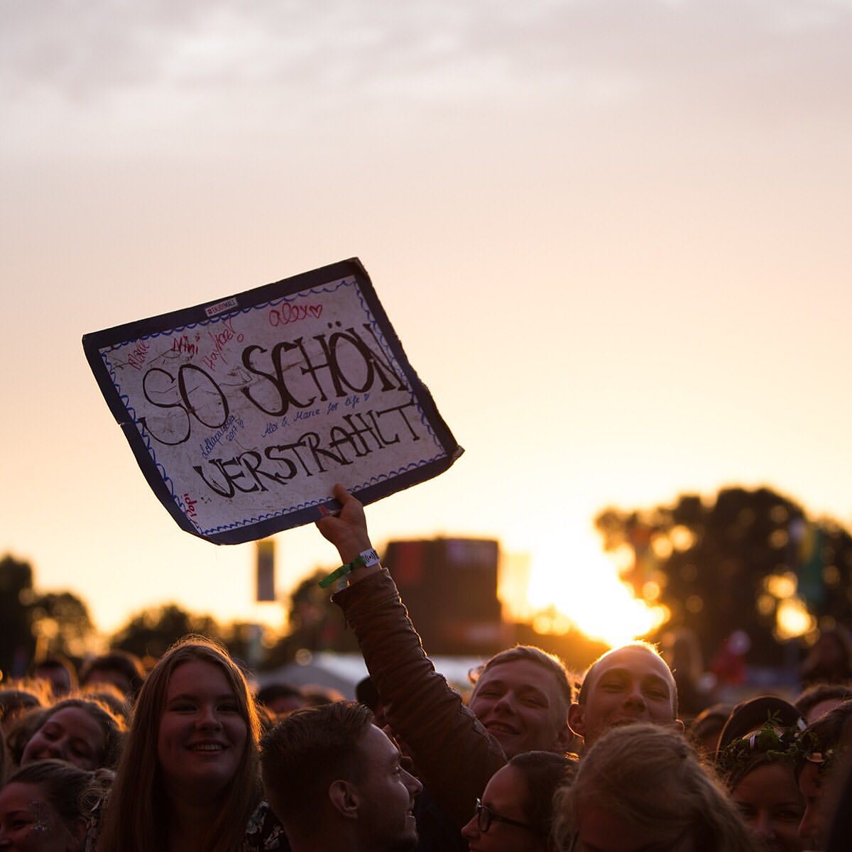 Signs in the Lolla 