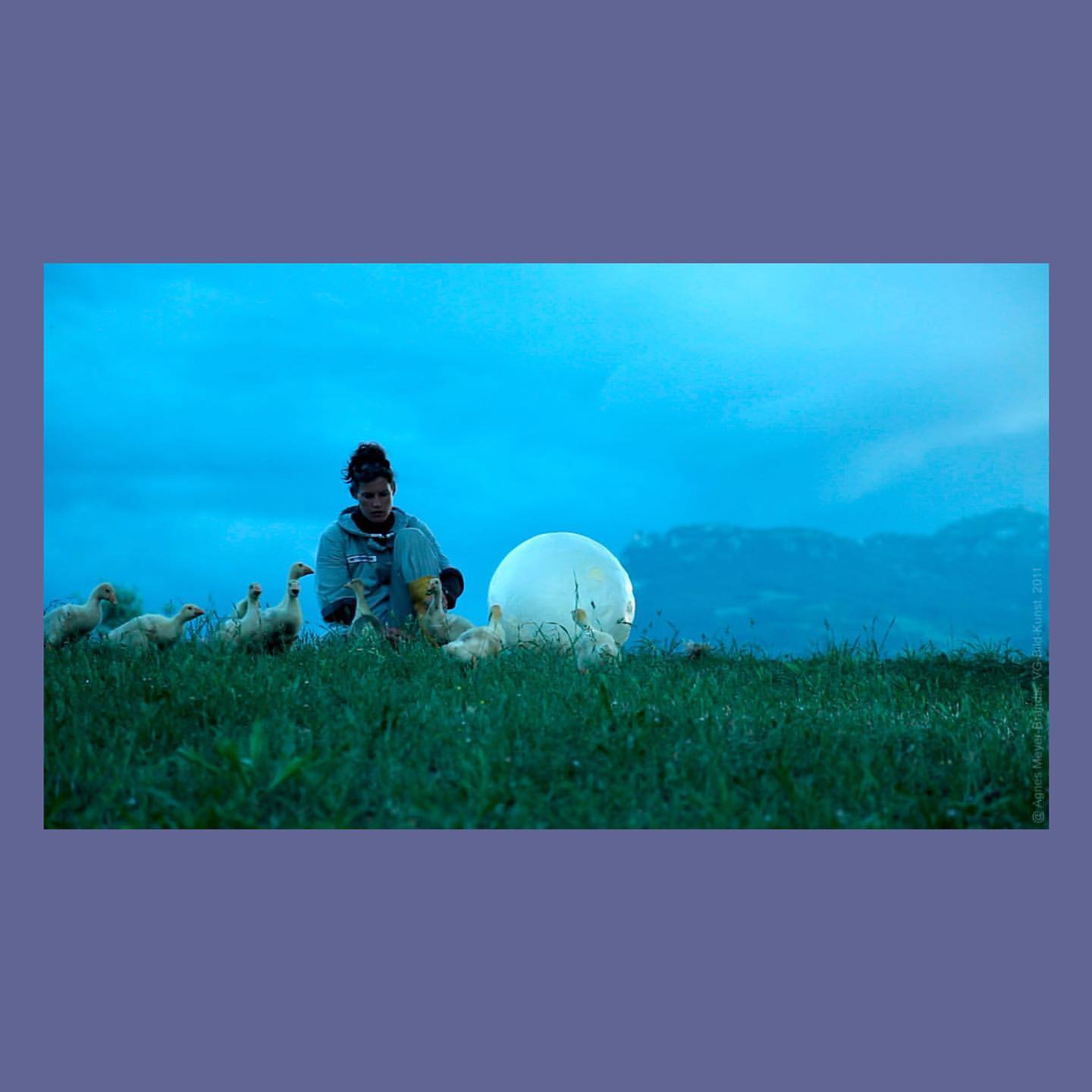 Moon Geese and Be