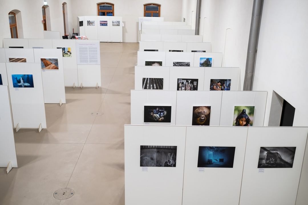 Exhibition Photog