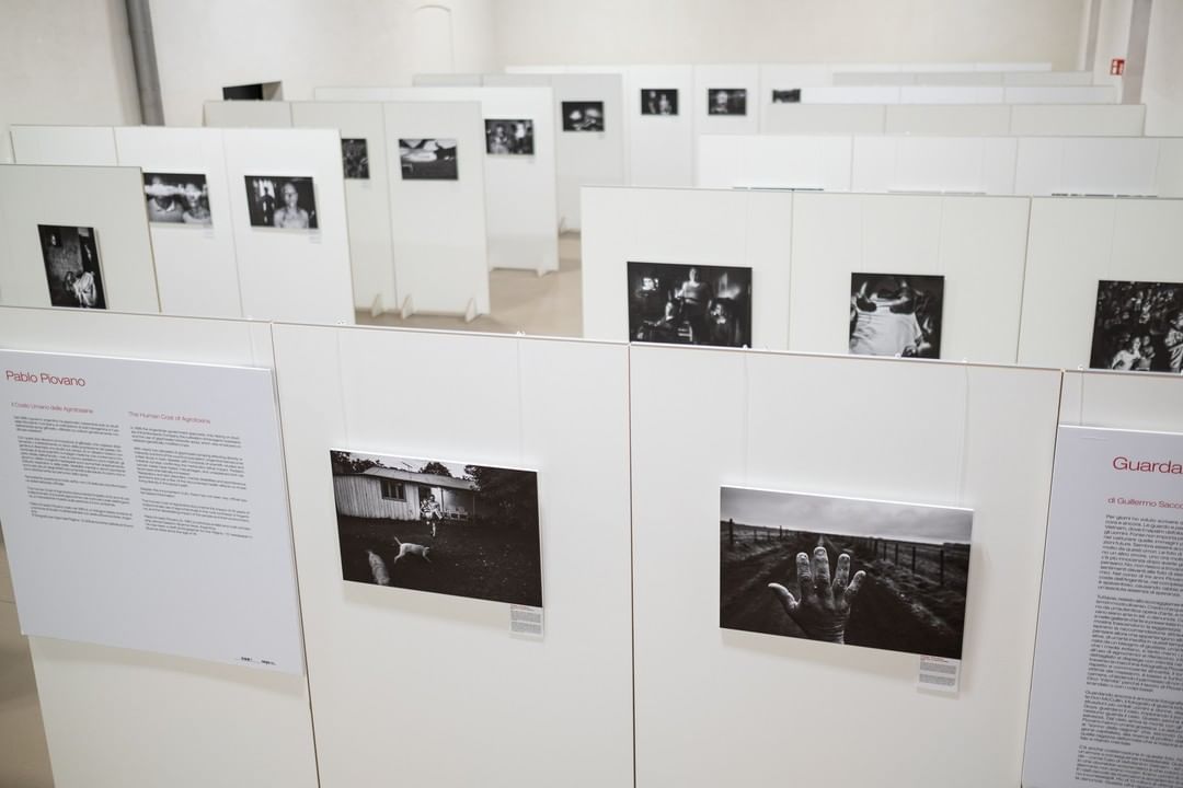 Exhibition The hu