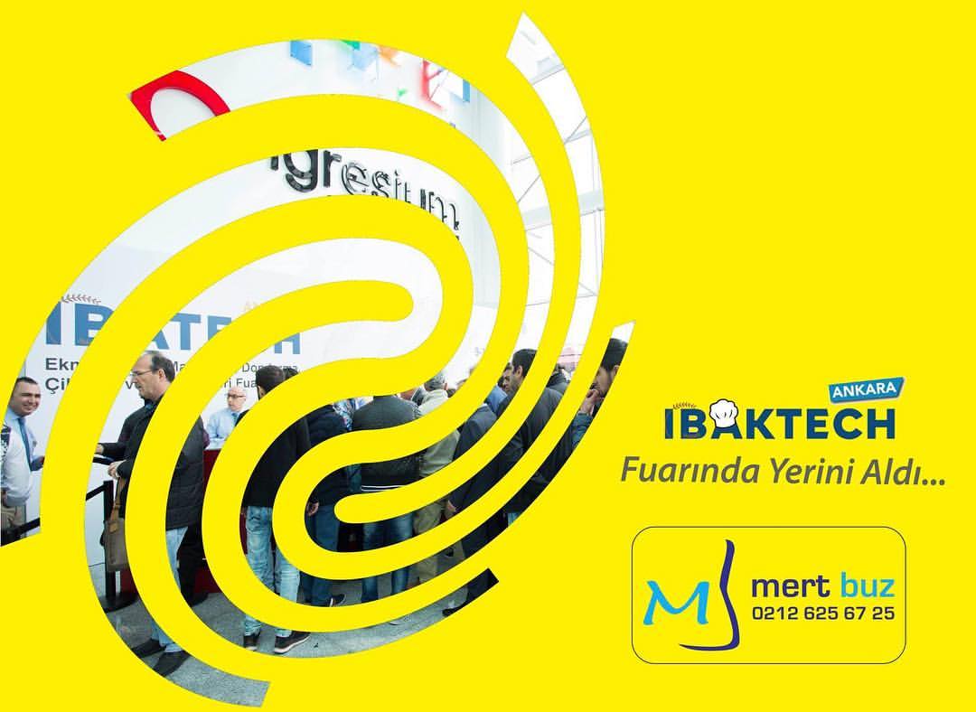 MERT BUZ 0710 MART 
