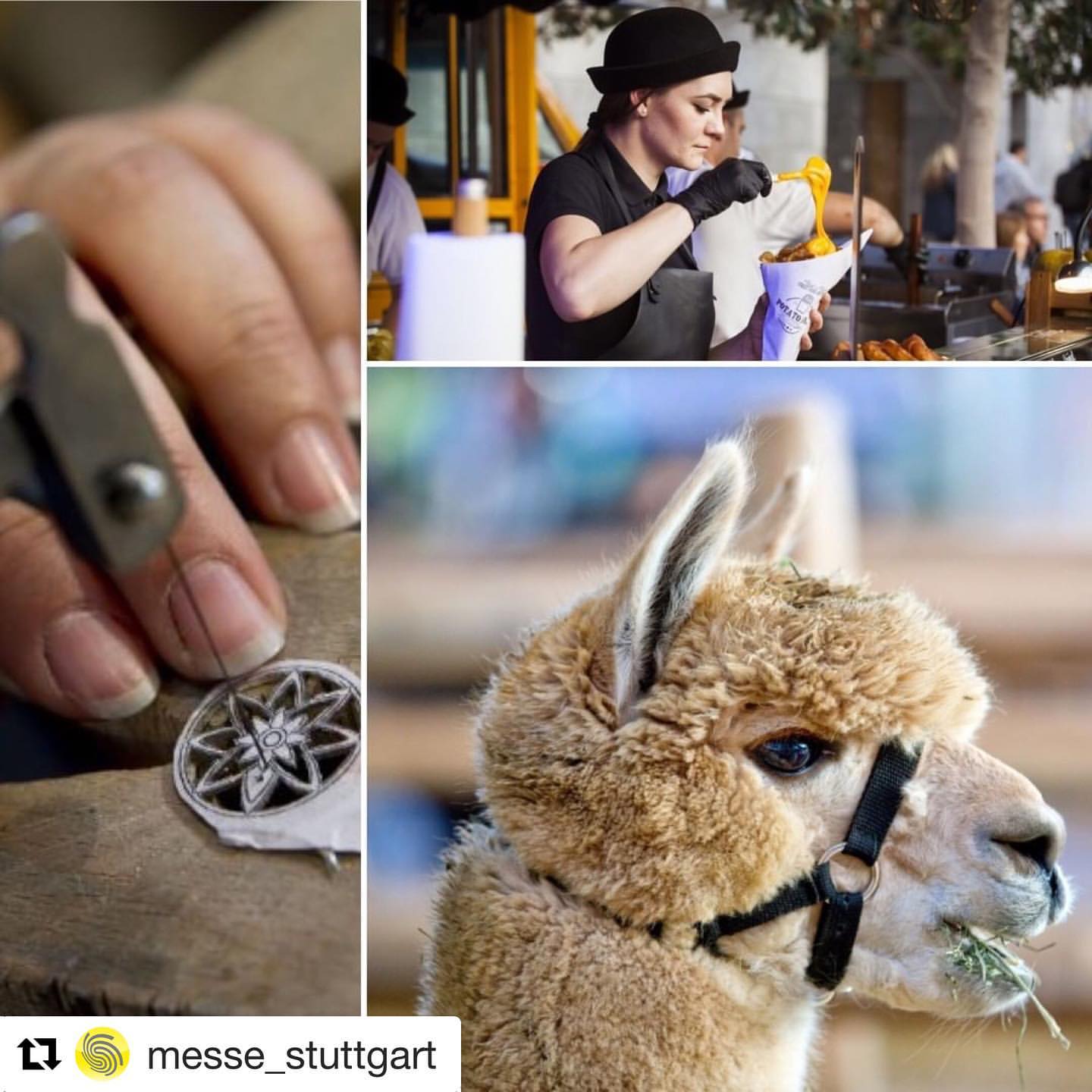 Repost messe stutt