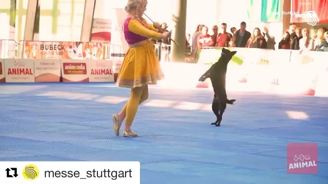 Repost messe stutt