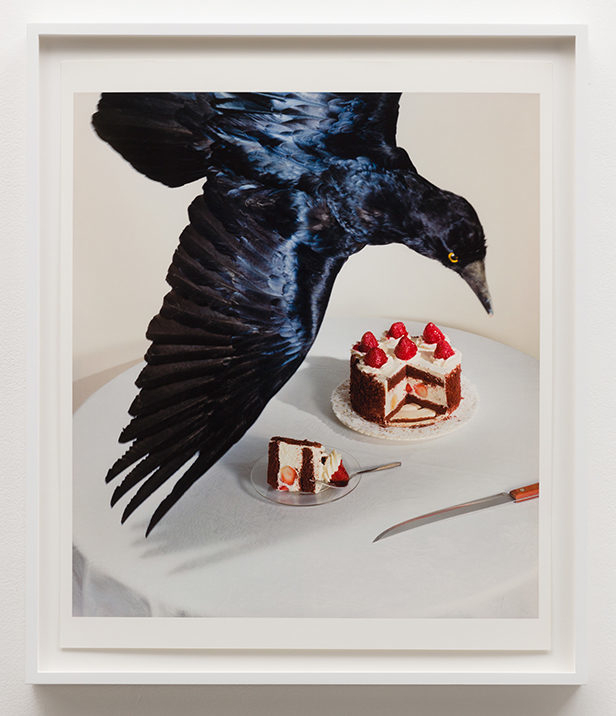 JoAnnCallis work ex